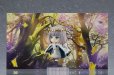 画像7: 【再販】ねんどろいど 『Fate/Grand Order』 プリテンダー/オベロン