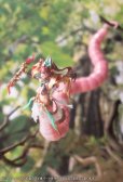 画像20: 『アルカナディア』 メルティーナ