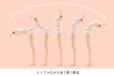 画像7: 『創彩少女庭園』 ドレスアップボディ【L】