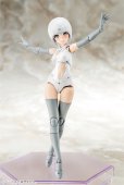 画像9: 『メガミデバイス』 B1R-M シャーシキット スキンカラーA