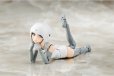 画像11: 『メガミデバイス』 B1R-M シャーシキット スキンカラーA