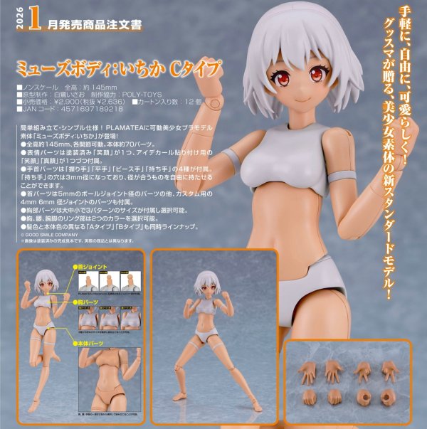 画像1: PLAMATEA ミューズボディ：いちか Cタイプ