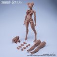 画像11: 【再販】Romankey×COWL 1/12スケール 超可動女性素体 (ホワイト / ナチュラル / 日焼け肌)
