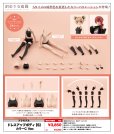 画像1: 『創彩少女庭園』 ドレスアップボディ[S] カラーC Ver. (1)