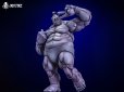 画像11: Mety toyz 冒険者の世界 GORASH BONEGLYPH(ゴラッシュボーングリーフ) 1/10スケール可動フィギュア