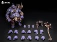 画像19: Mety toyz 冒険者の世界 GORASH BONEGLYPH(ゴラッシュボーングリーフ) 1/10スケール可動フィギュア