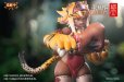 画像24: SNAIL SHELL(蝸之殻) RPG-04 タイガーガール ガル 1/12スケール可動フィギュア