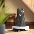 画像12: 52TOYS BLINDBOX QueSeraシリーズ ロボキャット (6個入り1BOX)
