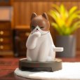 画像11: 52TOYS BLINDBOX QueSeraシリーズ ロボキャット (6個入り1BOX)