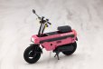 画像10: 『創彩少女庭園』 小石川 エマ 【ノクターン】 with Honda AB12 モトコンポ