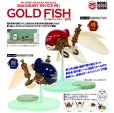 画像1: GOLD FISH 緋-AKE- / 紺-KON- (1)