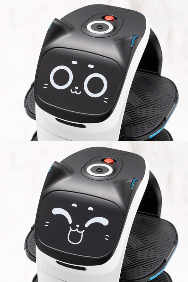 画像9: 『Pudu Robotics』 グランデスケール ベラボット