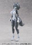画像31: けもプラ No.KP-03 ハイイロオオカミ 各種 (31)