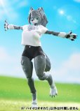 画像17: けもプラ No.KP-03 ハイイロオオカミ 各種 (17)