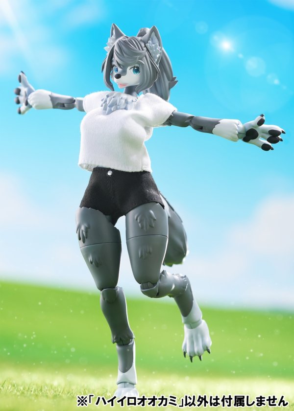 画像17: けもプラ No.KP-03 ハイイロオオカミ 各種