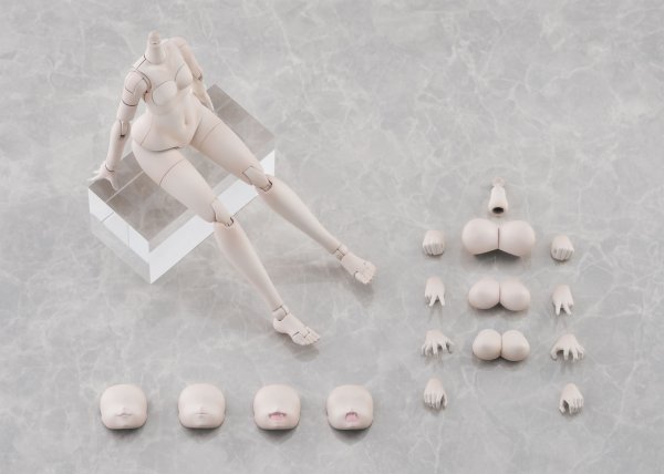 画像19: けもプラ No.KP-03 ハイイロオオカミ 各種