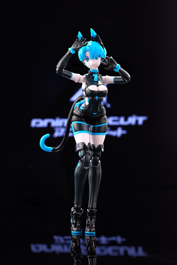 画像2: アニマサーキット ソラ・ザ・キャット SP