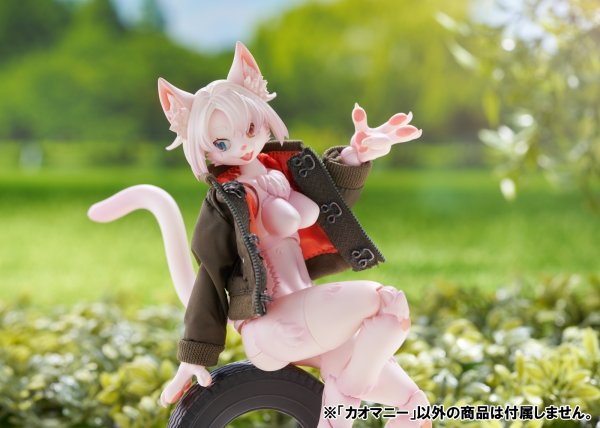 画像19: 【再販】けもプラ 各種