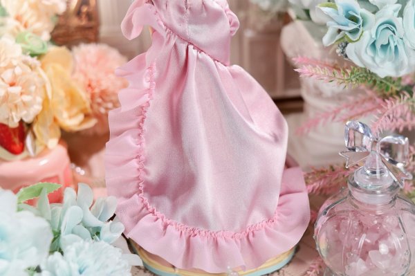 画像8: HEART BEAT MOMENT パラドックス・ワールドシリーズ ドール スペシャルデザイン シュレーディンガーの猫