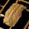 画像14: ARTPLA SCULPTURE WORKS キングギドラRe:イマジネーション (14)
