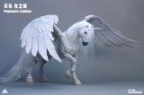 Fish Toys HY-040 天馬 光の翼 1/12スケール可動フィギュア