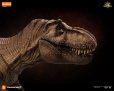 画像4: Blokees ジュラシック・ワールド テラベンチャー TL01 ティラノサウルス・レックス (4)