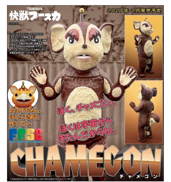 画像1: FFSC チャメゴン