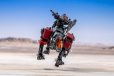 画像12: 『ゾイド -ZOIDS-』 コマンドウルフ アーバイン仕様 1999 -Recolor- (12)