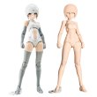 画像14: 『メガミデバイス』 B1R-M シャーシキット スキンカラーA (14)