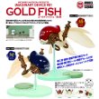 画像1: GOLD FISH 緋-AKE- / 紺-KON- (1)