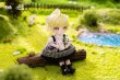 画像12: HASUKI New Cuddle シリーズ NF-001 FIORI(フィオリ) 1/12スケールデフォルメドール (12)