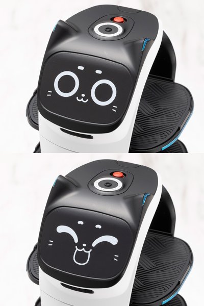 画像9: 『Pudu Robotics』 グランデスケール ベラボット (9)