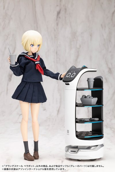 画像16: 『Pudu Robotics』 グランデスケール ベラボット (16)