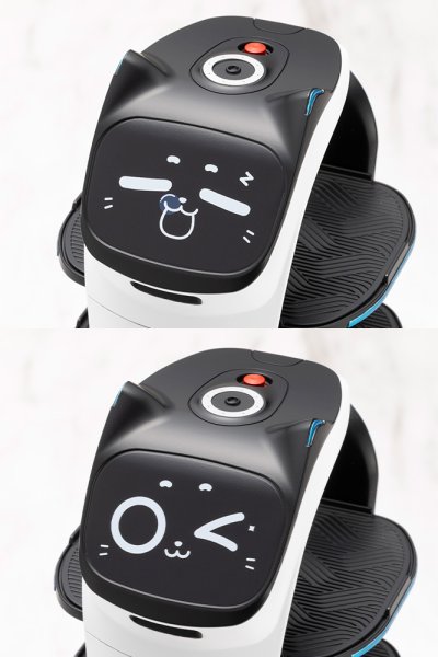 画像10: 『Pudu Robotics』 グランデスケール ベラボット (10)