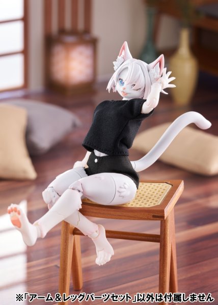 画像44: けもプラ No.KP-03 ハイイロオオカミ 各種 (44)