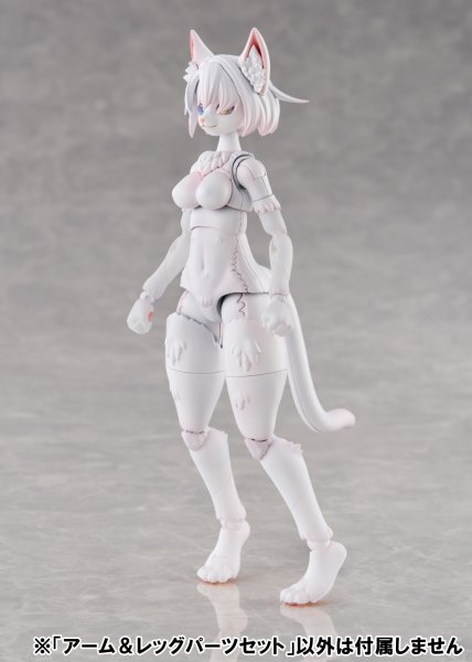 画像42: けもプラ No.KP-03 ハイイロオオカミ 各種 (42)