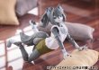 画像16: けもプラ No.KP-03 ハイイロオオカミ 各種 (16)