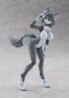 画像11: けもプラ No.KP-03 ハイイロオオカミ 各種 (11)