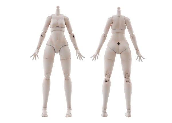 画像20: けもプラ No.KP-03 ハイイロオオカミ 各種 (20)