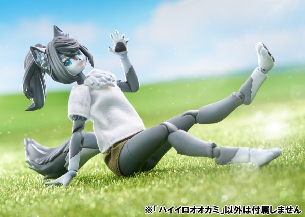画像18: けもプラ No.KP-03 ハイイロオオカミ 各種 (18)
