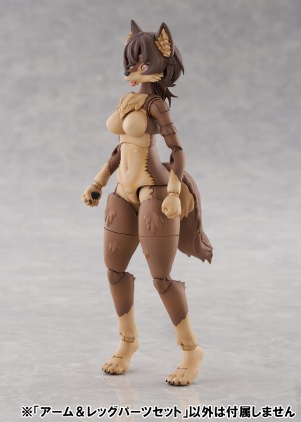 画像36: けもプラ No.KP-03 ハイイロオオカミ 各種 (36)