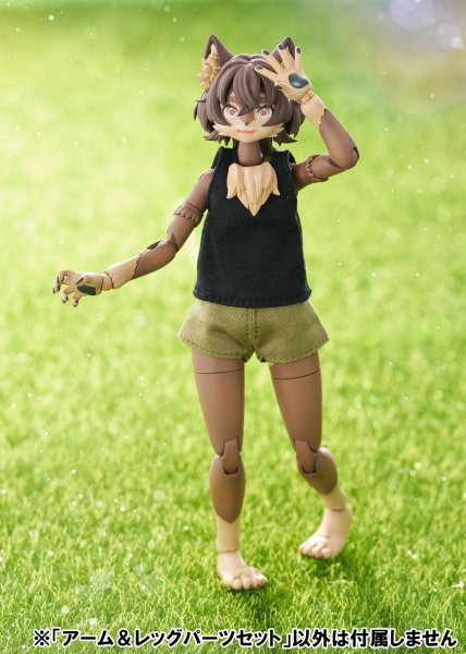 画像38: けもプラ No.KP-03 ハイイロオオカミ 各種 (38)