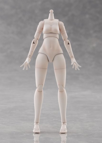 画像21: けもプラ No.KP-03 ハイイロオオカミ 各種 (21)