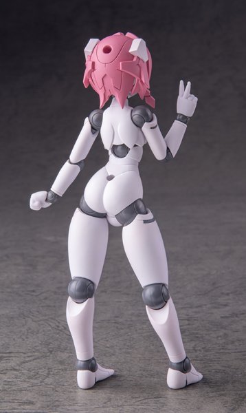 画像12: ポリニアン MLL2-V2エルマー (12)