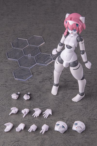 画像13: ポリニアン MLL2-V2エルマー (13)