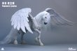 画像1: Fish Toys HY-040 天馬 光の翼 1/12スケール可動フィギュア (1)