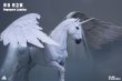画像4: Fish Toys HY-040 天馬 光の翼 1/12スケール可動フィギュア (4)