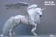 画像2: Fish Toys HY-040 天馬 光の翼 1/12スケール可動フィギュア (2)