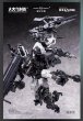 画像6: BIGFIREBIRD BUILD Future Vanguard-Skull Bird & Baza(フューチャー・ヴァンガード - スカルバード&バザ) 1/60スケールプラスチックモデルキット (6)