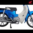 画像10: KAITANICS Honda スーパーカブ110 (グリントウェーブブルーメタリック / バージンベージュ / クラシカルホワイト / タスマニアグリーンメタリック) (10)
